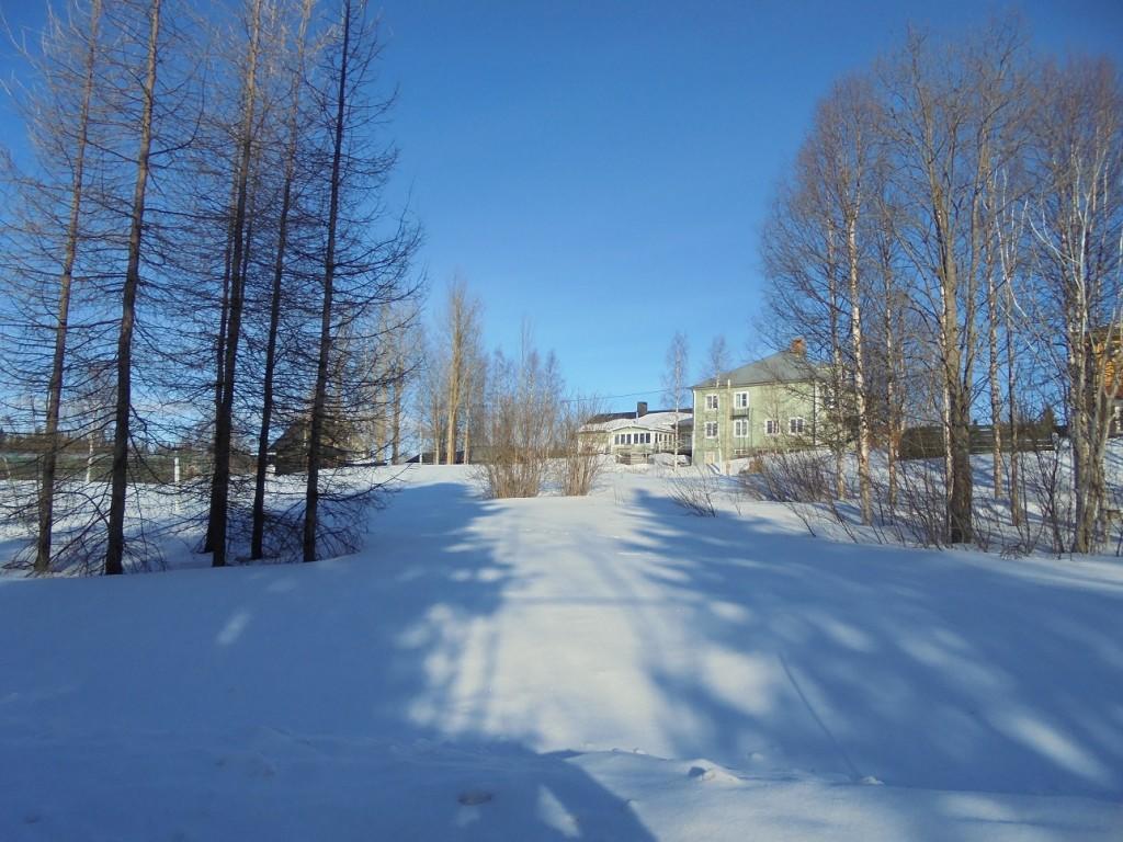Jaerjagarden Guesthouse Storsele Exterior photo